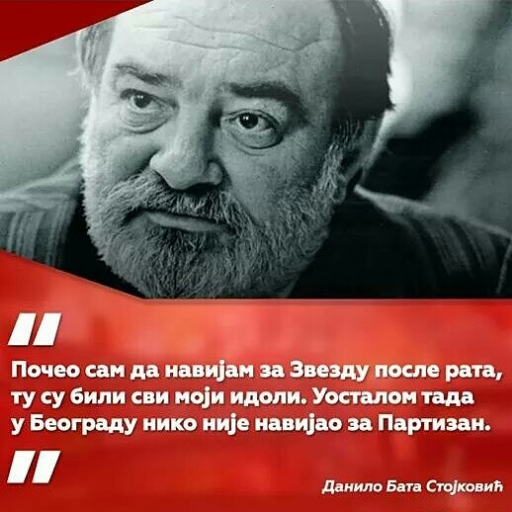 право,геополитика,историја и наравно Црвена Звезда.