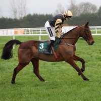 seamusmckeogh (@seamusmckeogh) 's Twitter Profile