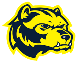 Official twitter page of Niagara Falls High School Wolverines Baseball. 2022 & 2023 NFL Champions. 🏆#WolverinesBaseball #NFBaseball