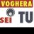 vogheraseitu's profile image
