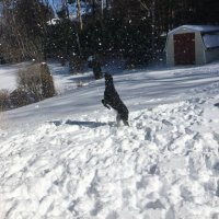 Greg MacKinnon (@gmack95) 's Twitter Profile