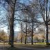 The B🍂sque (@bosqueubc) Twitter profile photo The B🍂sque (@bosqueubc) Twitter profile photo