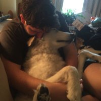HIMitachi (@simitachi) 's Twitter Profile