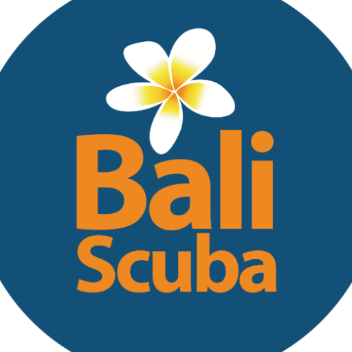 baliscuba Profile Picture