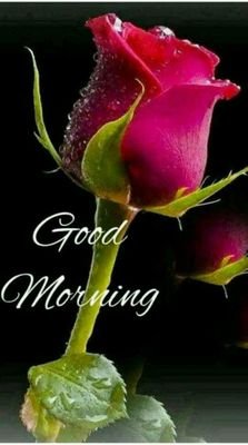 d_subeesh's profile picture. Just have fun