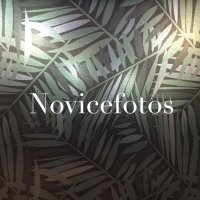 Novicefotos (@novicefotos) 's Twitter Profile