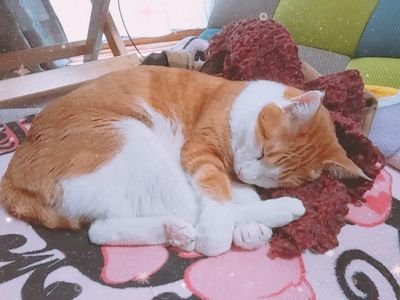 こはる🍀さんのプロフィール画像