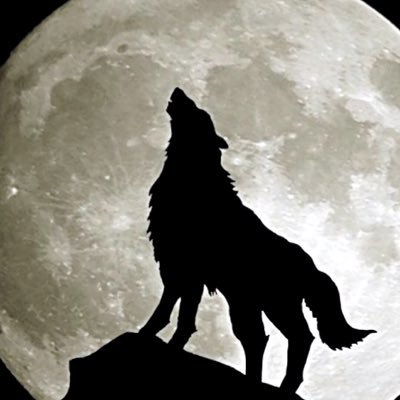 marius_mma's profile picture. 