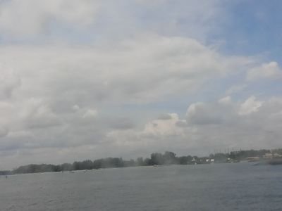 ANKITG06193343's profile picture. 