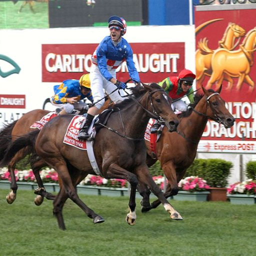 gbet16's profile picture. 🏇//🐯//Giants 🏈 //