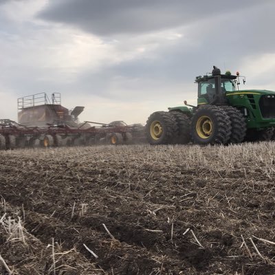 jordgruza's profile picture. 