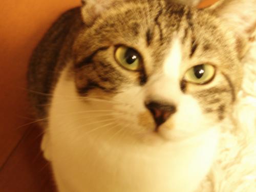 harpseal158's profile picture. 