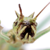 Bueschges Lab (@bueschges_lab) Twitter profile photo Bueschges Lab (@bueschges_lab) Twitter profile photo