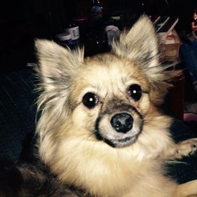 c57_michael's profile picture. 