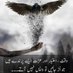 Syed (@syed08135924) Twitter profile photo Syed (@syed08135924) Twitter profile photo