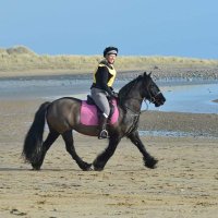 elaine prosperini (@elaineprosperi2) 's Twitter Profile Photo