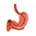 GastroScan (@gastroscan) Twitter profile photo GastroScan (@gastroscan) Twitter profile photo