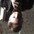 justmax0nchik's profile image