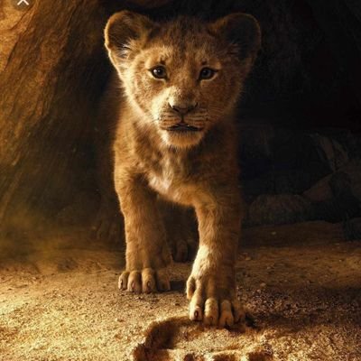 ShaniRock11's profile picture. 