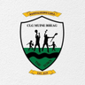 BtownGaels's profile picture. GAA club from Bagenalstown Co. Carlow. Catering for football and hurling at all levels.