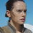 Daisy Ridley Newsさんのプロフィール画像