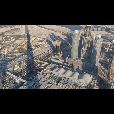 Drkanoche's profile picture. Director at Mistera Online