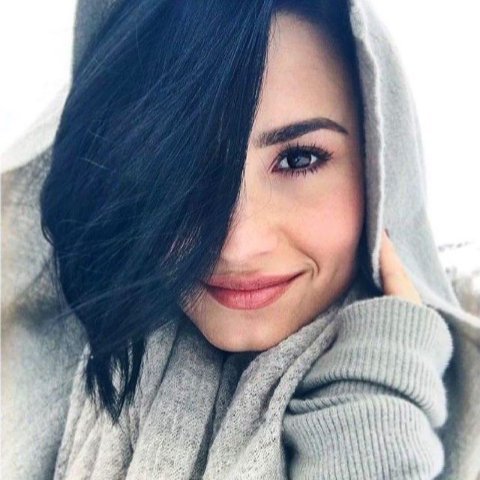 Demi Lovato's fan😍😍