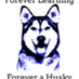 Forest Hill Huskies (@fhes_huskies) Twitter profile photo Forest Hill Huskies (@fhes_huskies) Twitter profile photo