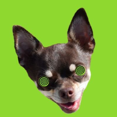 Kev22Gaw's profile picture. 