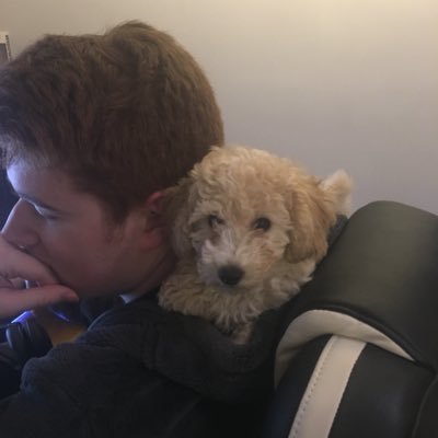mediocre at video games | support player | 19 | 🏴 | 🌈🏳️🌈 |