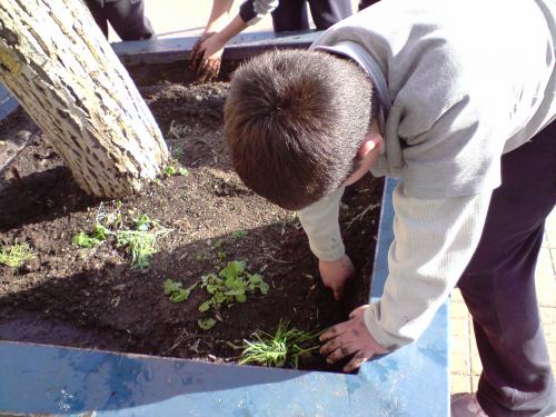 En educar personas somos profesores cuya visión es tener como  propósito del sistema educativo, apoyar y sostener la capacidad transformadora de la educación.