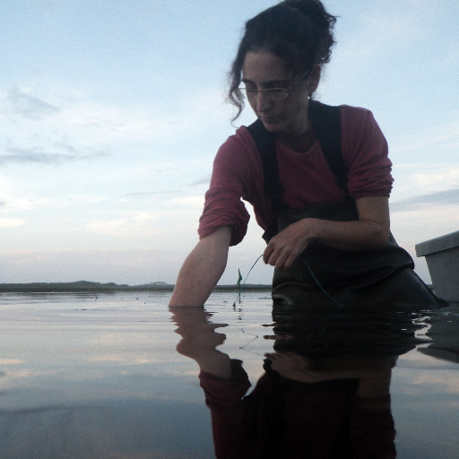 Marine ecologist studying #seagrass community and ecosystem in a changing world. #OceanAcidification #ClimateChange