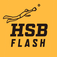 宮崎県高校野球速報(非公式) (@myzk_hsbflash) 's Twitter Profile