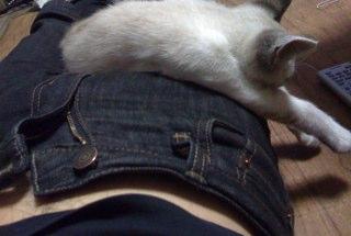 cutiexone's profile picture. ビデオが好きでよくみています。