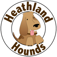 Heathland Hounds(@HeathlandHounds) 's Twitter Profile Photo