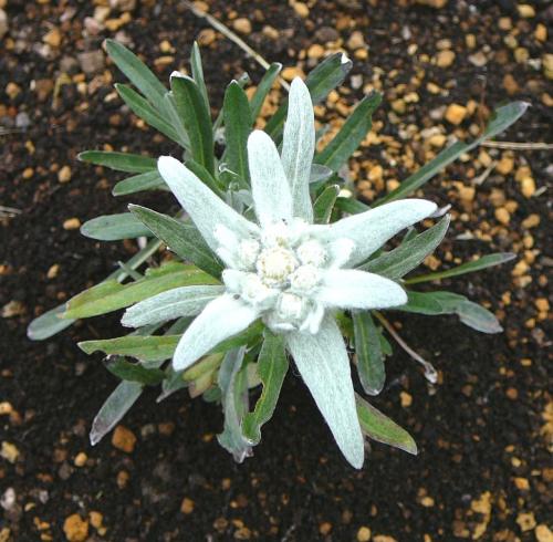 zawa08's profile picture. 那須野が原在住。