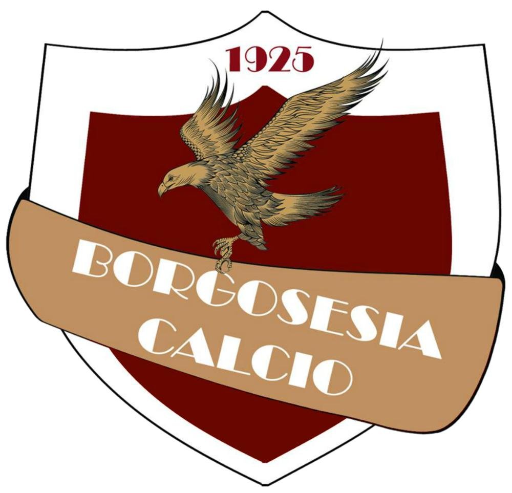 Il Borgosesia Calcio, nato nel 1925, sta attualmente disputando la decima stagione consecutiva in Serie D.