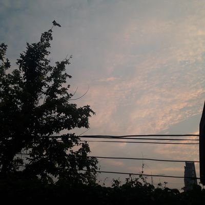 valaporn10's profile picture. เลือดเปื้อนจันทร์