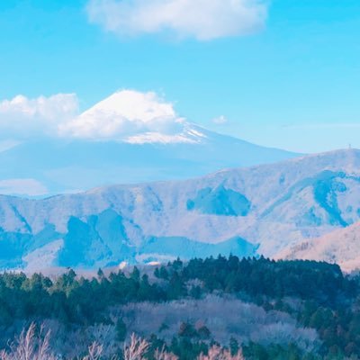 20歳/大学生/東京住/服/写真