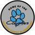 Canyon Ranch Elementary (@crecoyotes) Twitter profile photo Canyon Ranch Elementary (@crecoyotes) Twitter profile photo