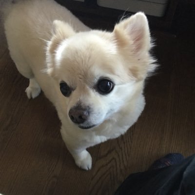 蟻ゾナさんのプロフィール画像