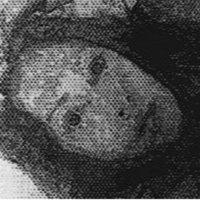 Cricket 🇨🇦 (@coastalcndn) 's Twitter Profile