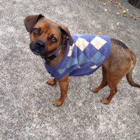 Steff (@srabookworm) 's Twitter Profile Photo