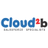 Cloud2b - Salesforce Platinum Partner  ☁