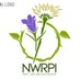 North-West Rare Plant Initiative (@nwrpi) Twitter profile photo North-West Rare Plant Initiative (@nwrpi) Twitter profile photo