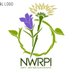 North-West Rare Plant Initiative (@nwrpi) Twitter profile photo