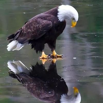 Tony03716638's profile picture. live for the TRUTH.DONT SETTLE FOR LESS