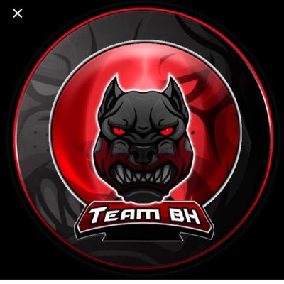 BhBleak's profile picture. Hoping to be recruited in to Team BH. This would be a great thing to help me grow as a streamer and learn to get better at the game.