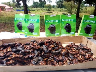 OgalaDAIKWO's profile picture. Rural Livelihood Development Specialist. VSLA Coach. Fisheries and Aquaculture Consultant. Water Quality Management Expert. Entrepreneur. Lover of God.