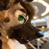 Axel (@madaxelshep) 's Twitter Profile